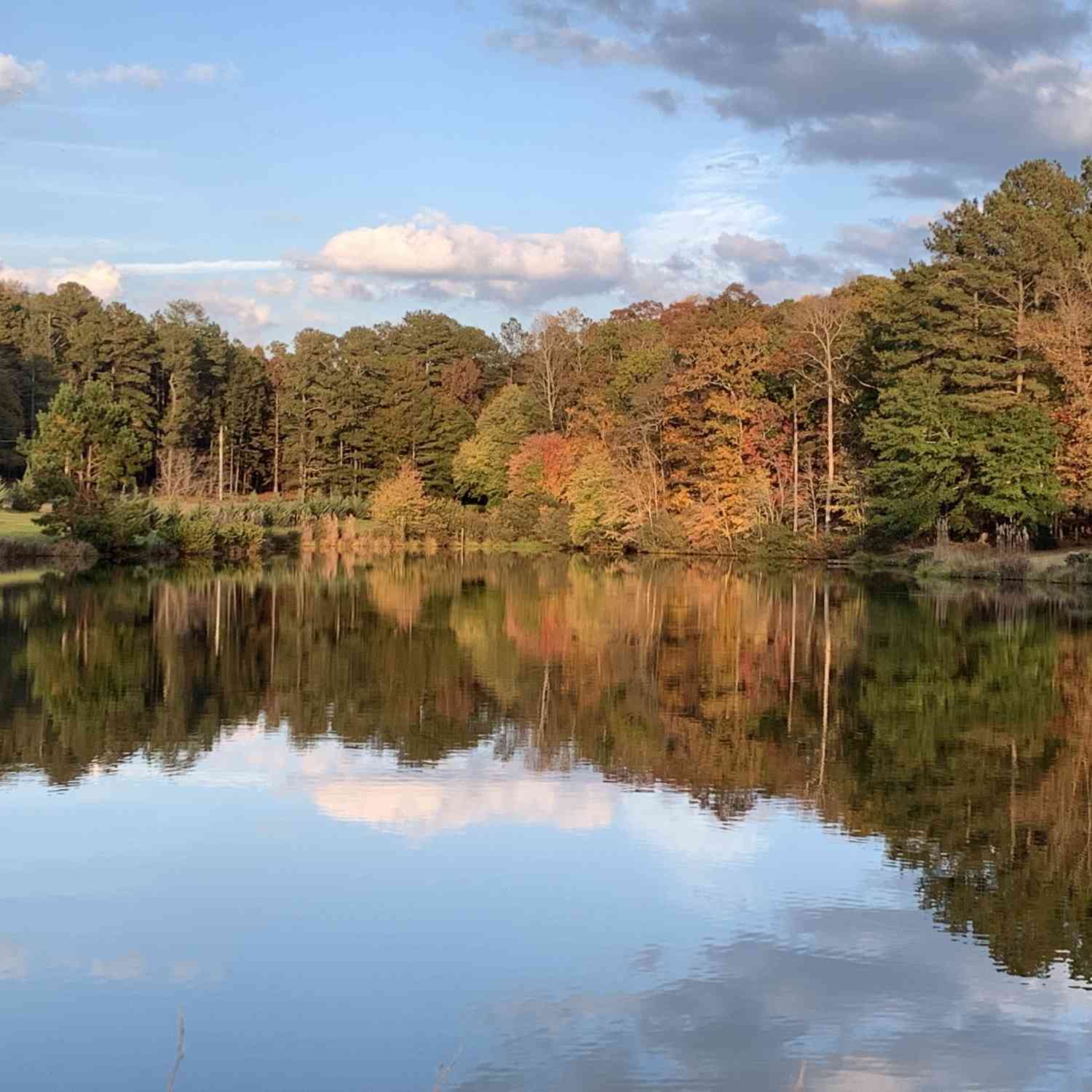 Vacant Land For Sale - Brittany Way<br/> Fayette County, Fayetteville, GA 30214