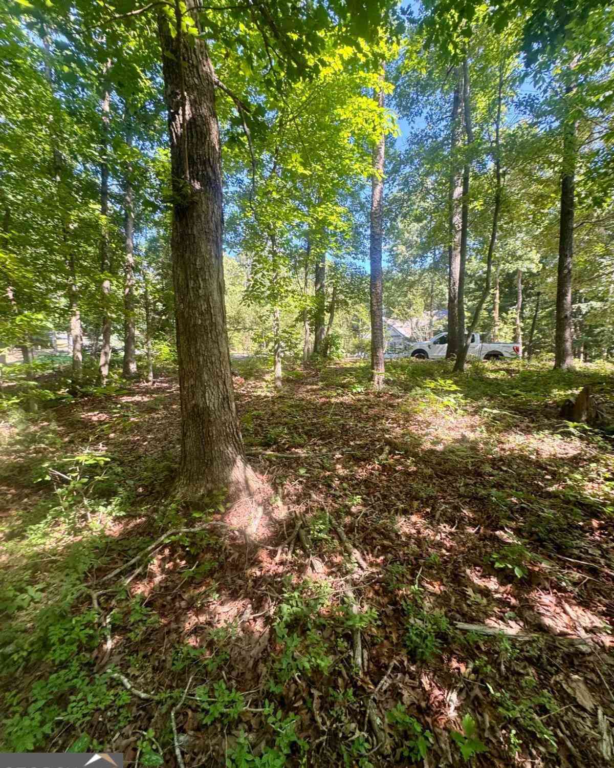 Vacant Land For Sale - Teel Mountain Dr<br/> Cleveland, GA 30528