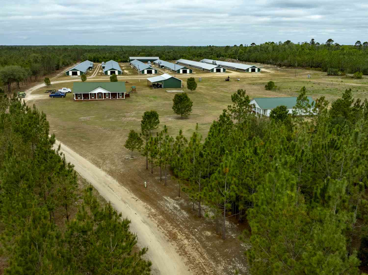 Vacant Land For Sale - 2474 Rushing Boone Road<br/> Reidsville, GA 30453