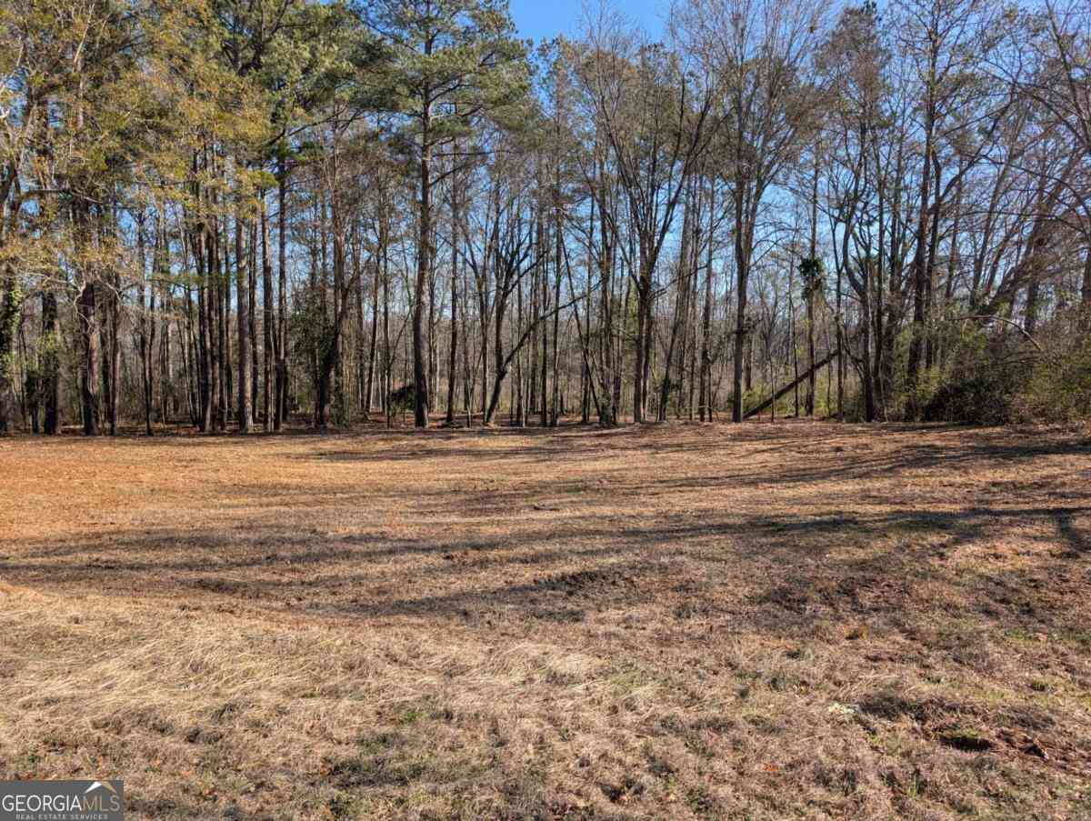 Vacant Land For Sale - 123 Jones Street<br/> Troup County, Lagrange, GA 30240