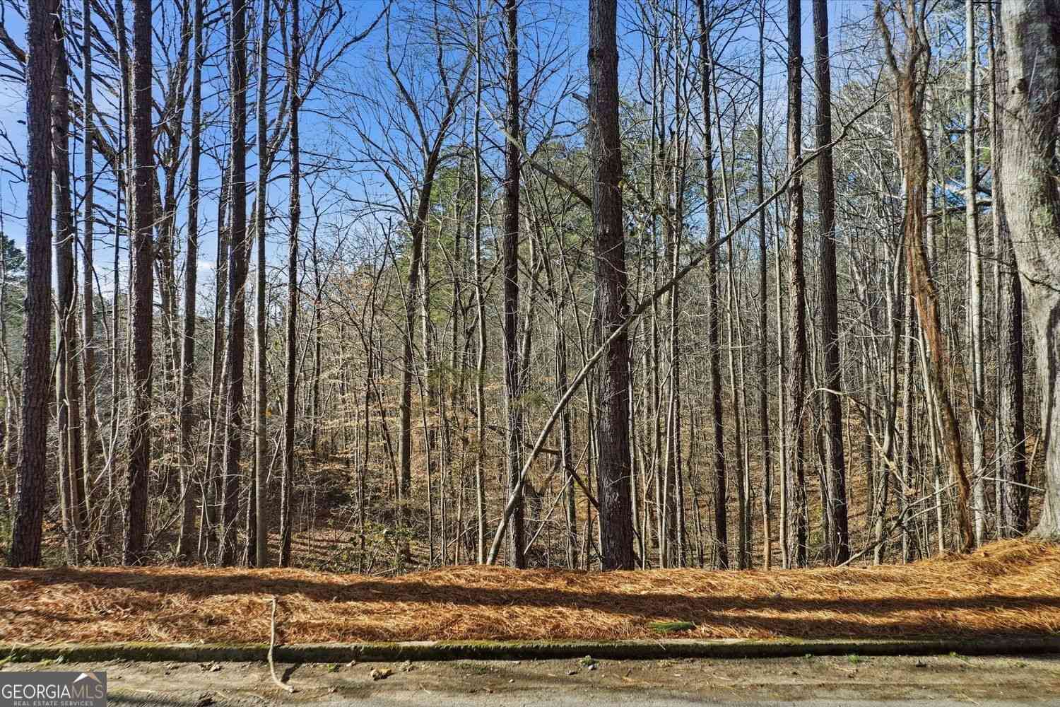 Vacant Land For Sale - Sixes Road<br/> Cherokee County, Canton, GA 30114
