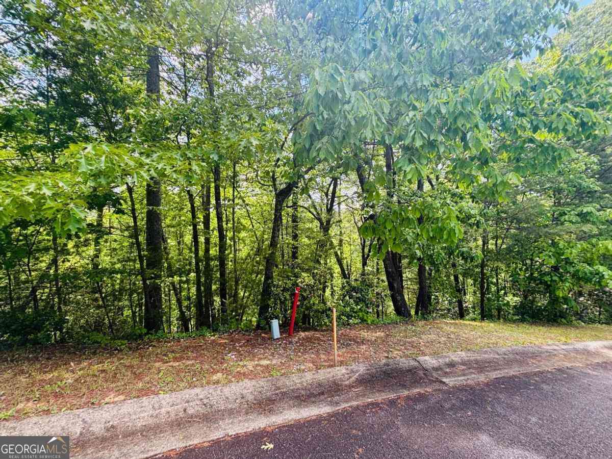 Vacant Land For Sale - Rosen Strasse - Lot 141<br/> White County, Helen, GA 30545