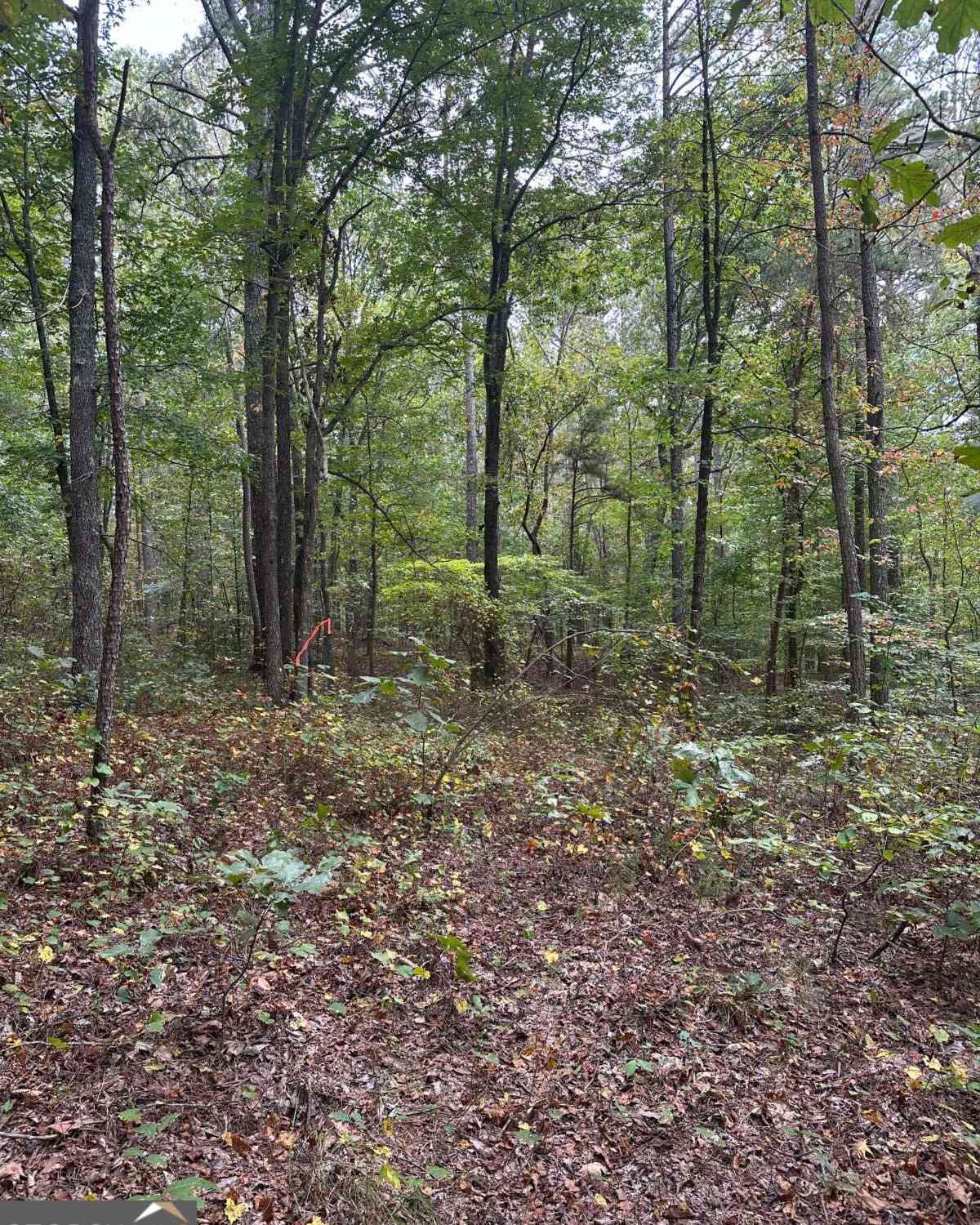Vacant Land For Sale - 3834 Salacoa-tract B<br/> Cherokee County, Waleska, GA 30183