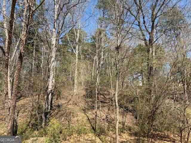 Vacant Land For Sale - Jack Pittman Road<br/> Dacula, GA 30019