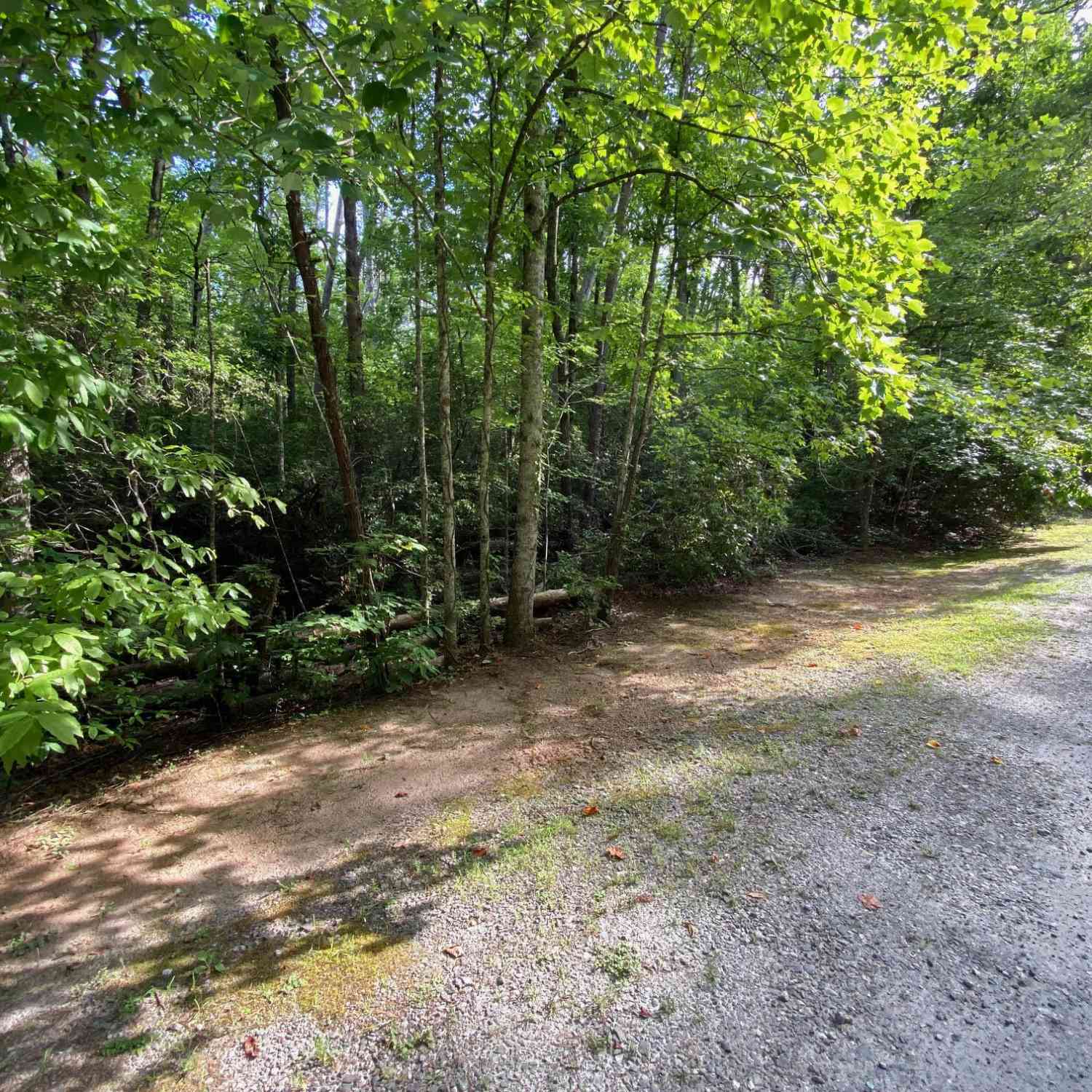 Vacant Land For Sale - Sara Lane #LOT 6<br/> White County, Sautee Nacoochee, GA 30571