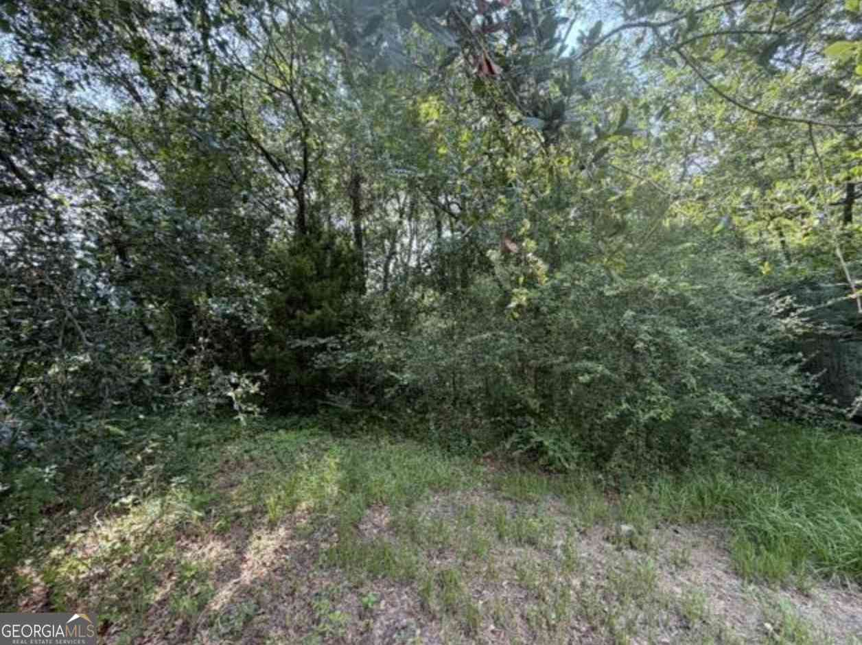 Vacant Land For Sale - Milton Avenue<br/> Savannah, GA 31405