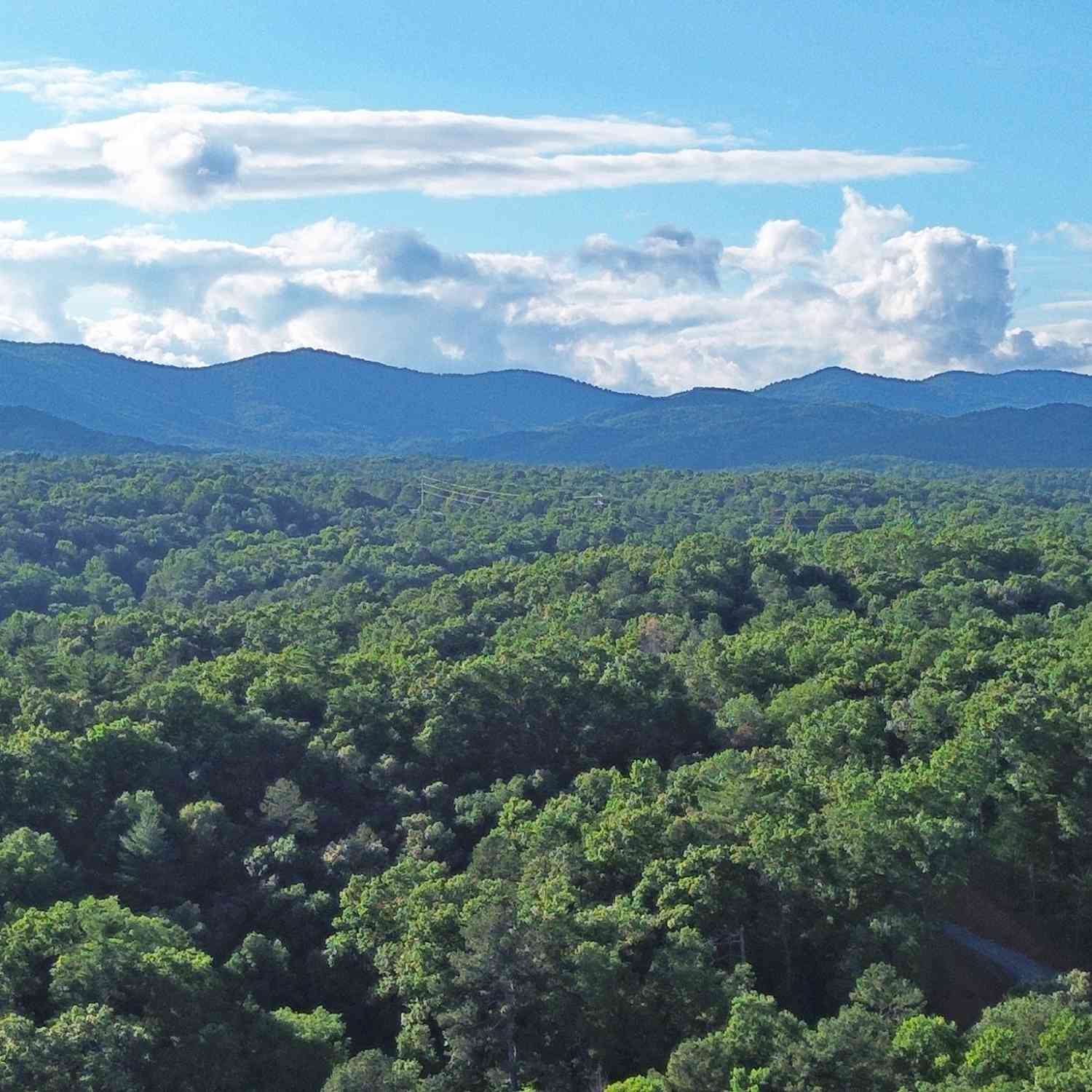 Vacant Land For Sale - LOT 18 Mt. Springer Road<br/> Ellijay, GA 30540