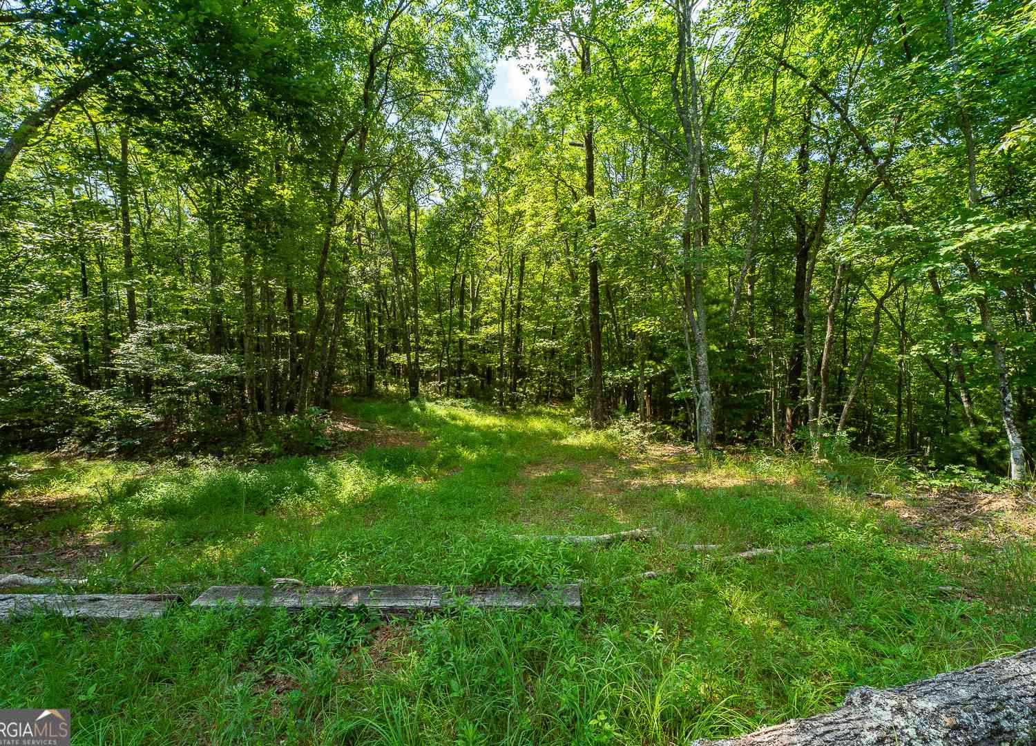 Vacant Land For Sale - TR 1&2 Blue Arrow Lane<br/> Mineral Bluff, GA 30559