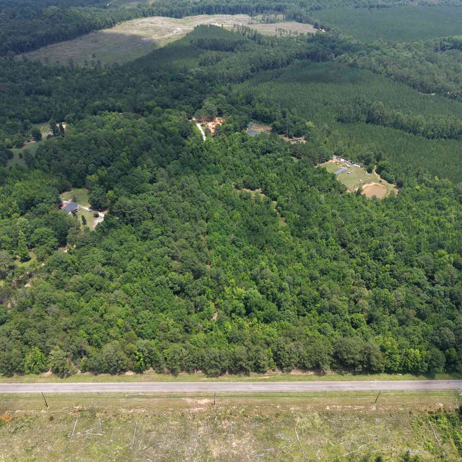 Vacant Land For Sale - 1030 Flat Rock Road<br/> Wilkes County, Tignall, GA 30668