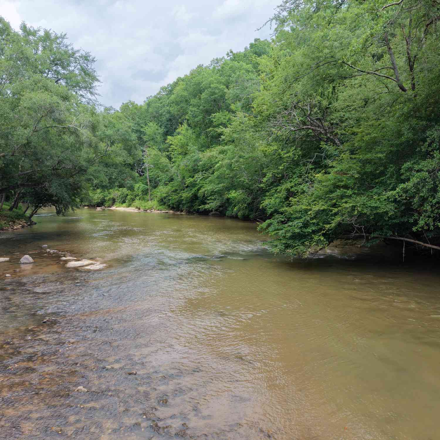 Vacant Land For Sale - 1590 James Adams Road<br/> Madison County, Danielsville, GA 30633