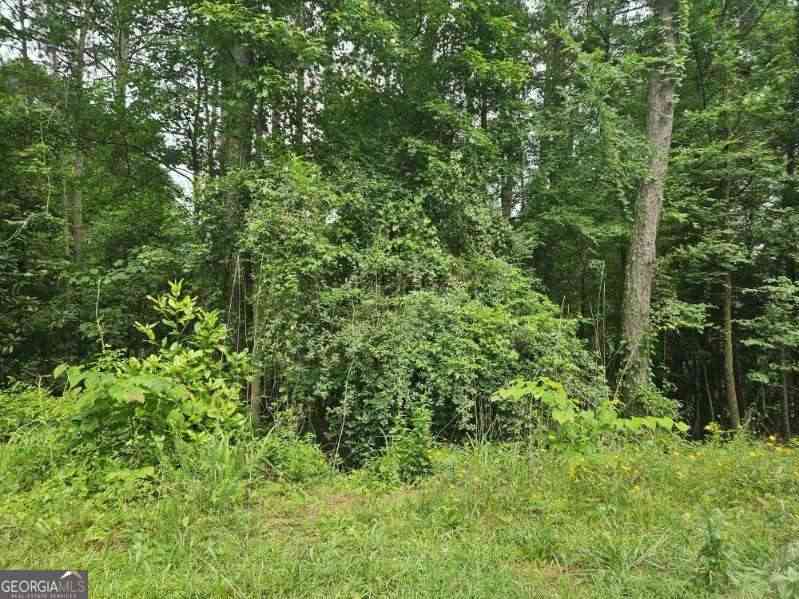 Vacant Land For Sale - 2435 Hi Roc Circle NE<br/> Conyers, GA 30012