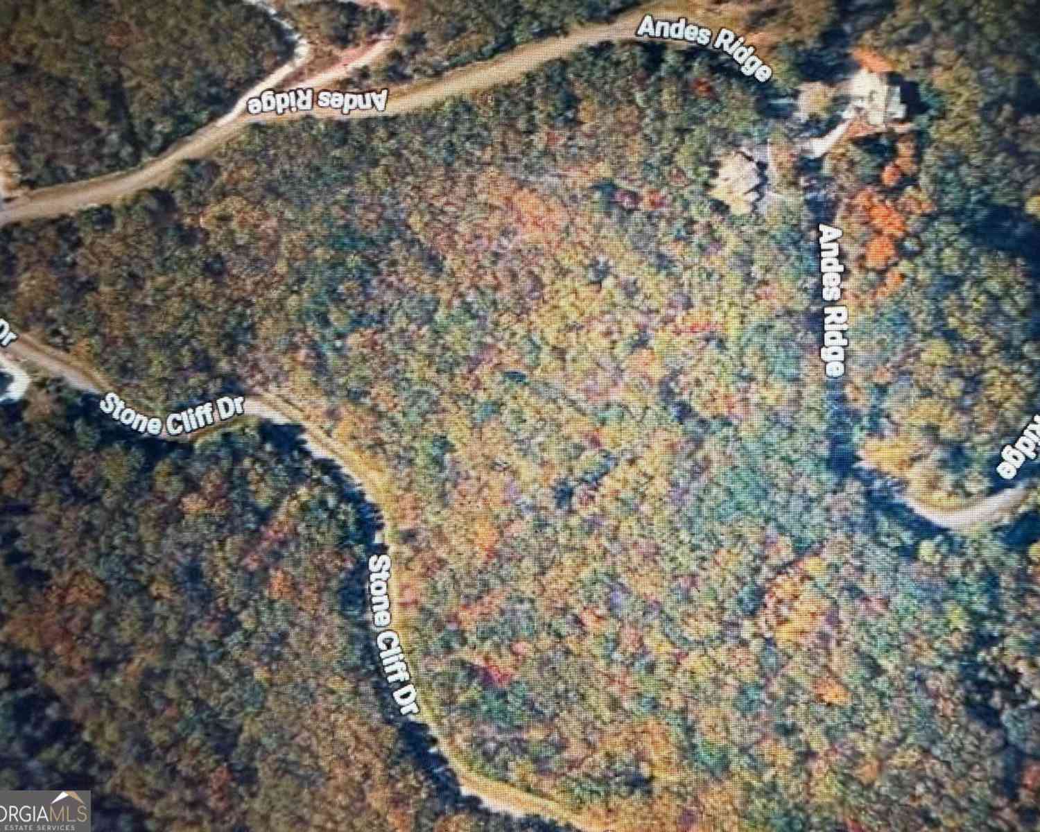 Vacant Land For Sale - 233 Stone Cliff Drive #233<br/> Ellijay, GA 30033
