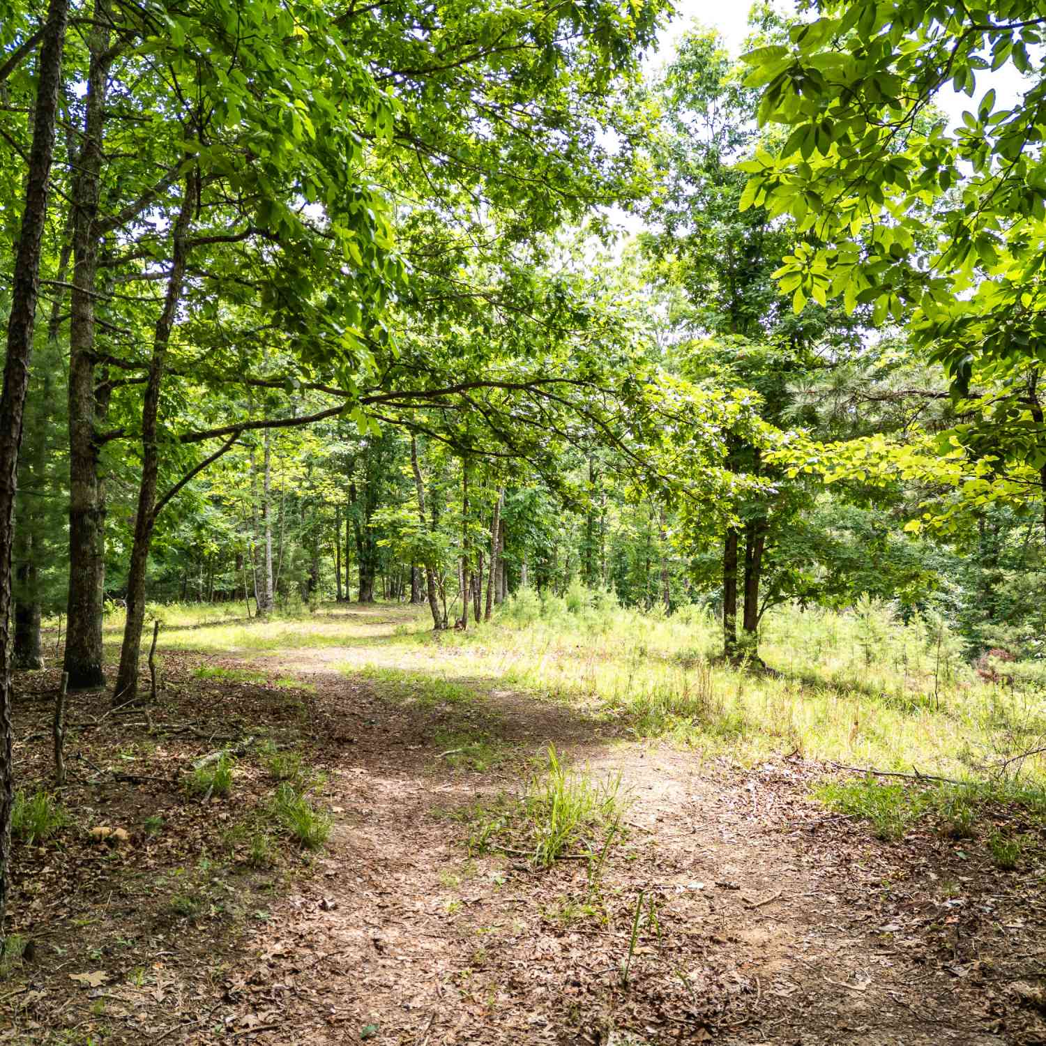 Vacant Land For Sale - LT 2 Stormy Ridge<br/> Brasstown, NC 28902