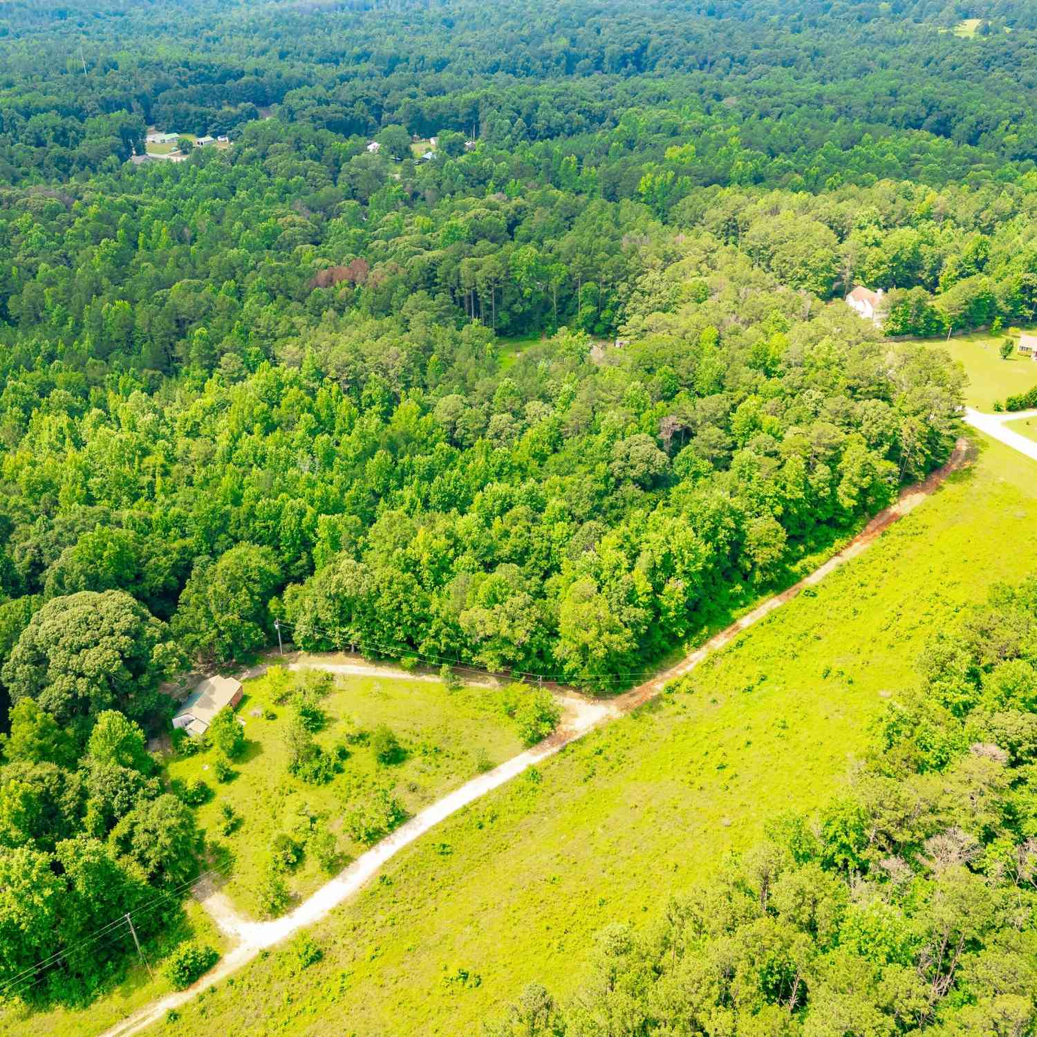 Vacant Land For Sale - 229 Dixon Road<br/> Coweta County, Newnan, GA 30263