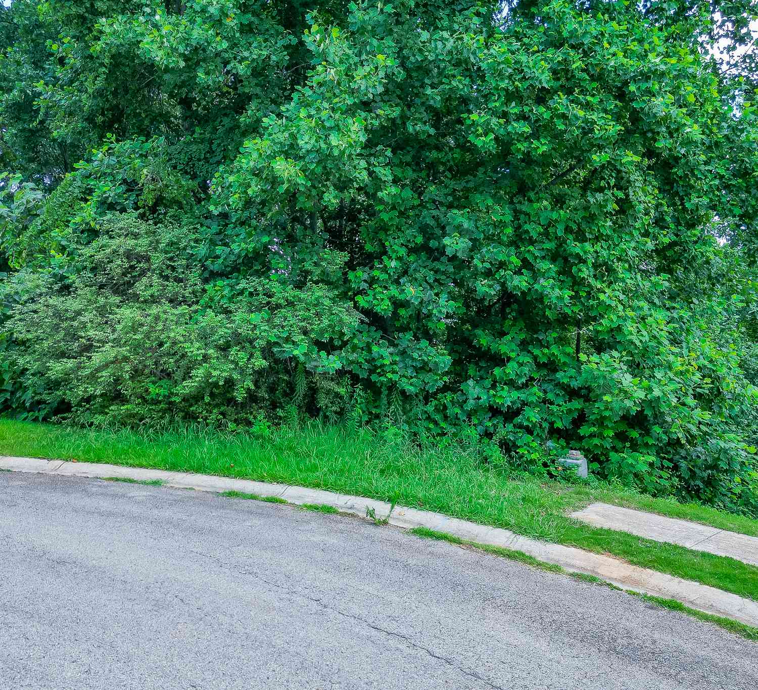 Vacant Land For Sale - 3358 Pennington Point Drive<br/> Gainesville, GA 30507