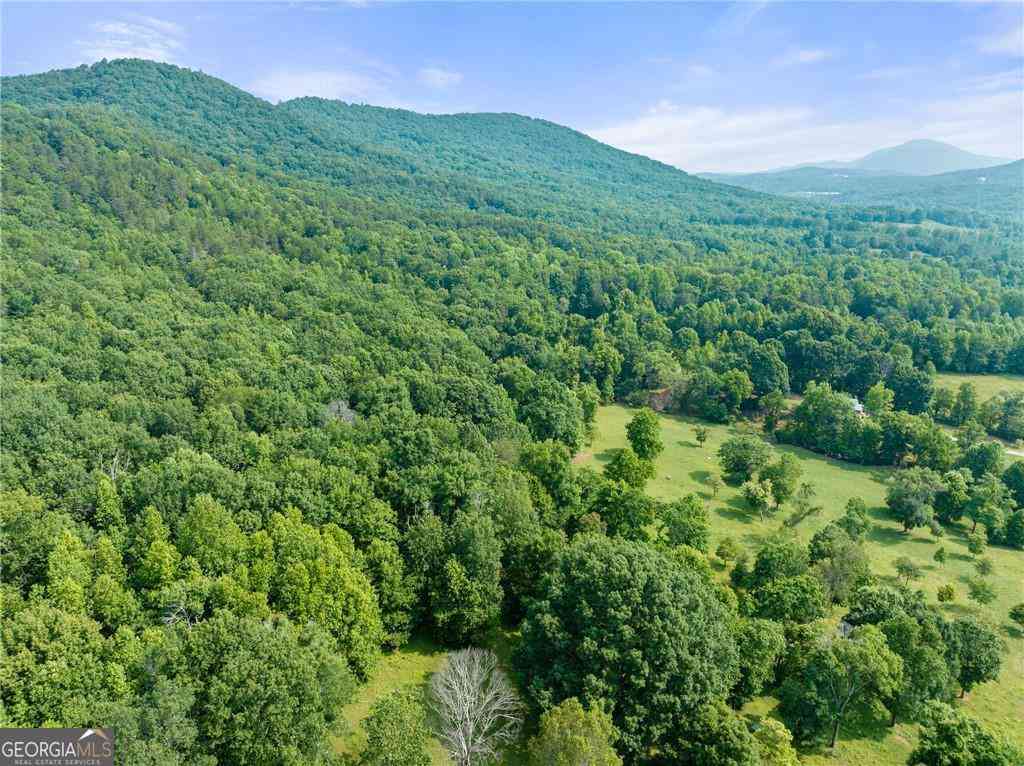 Vacant Land For Sale - 00 Freeman View Trail #LOT 4<br/> Cleveland, GA 30528
