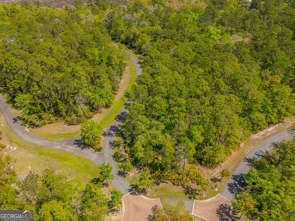 Vacant Land For Sale - LOT 2 C River Place Drive<br/> Waverly, GA 31565