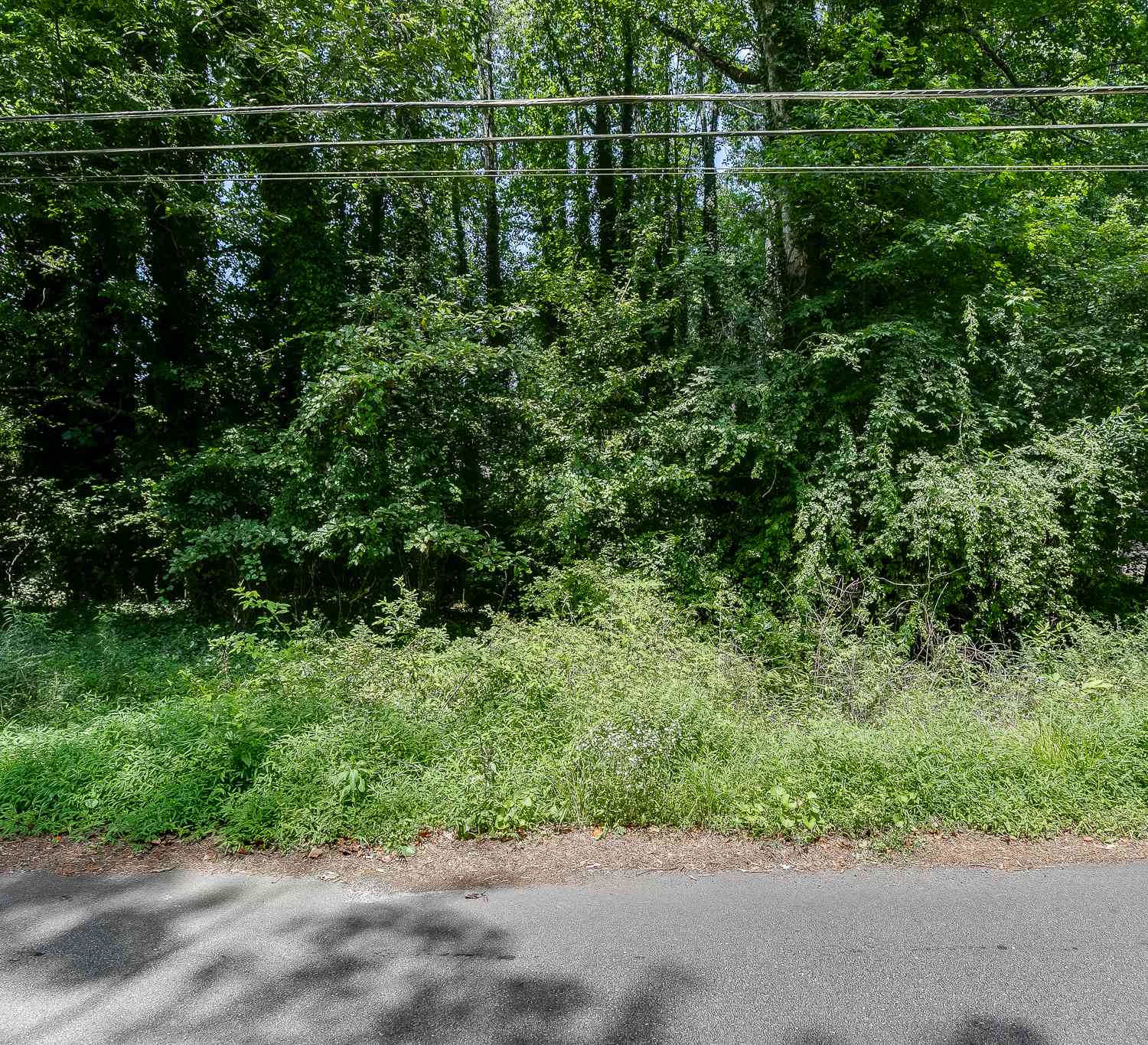 Vacant Land For Sale - 4022 Covey Trail<br/> Oakwood, GA 30566
