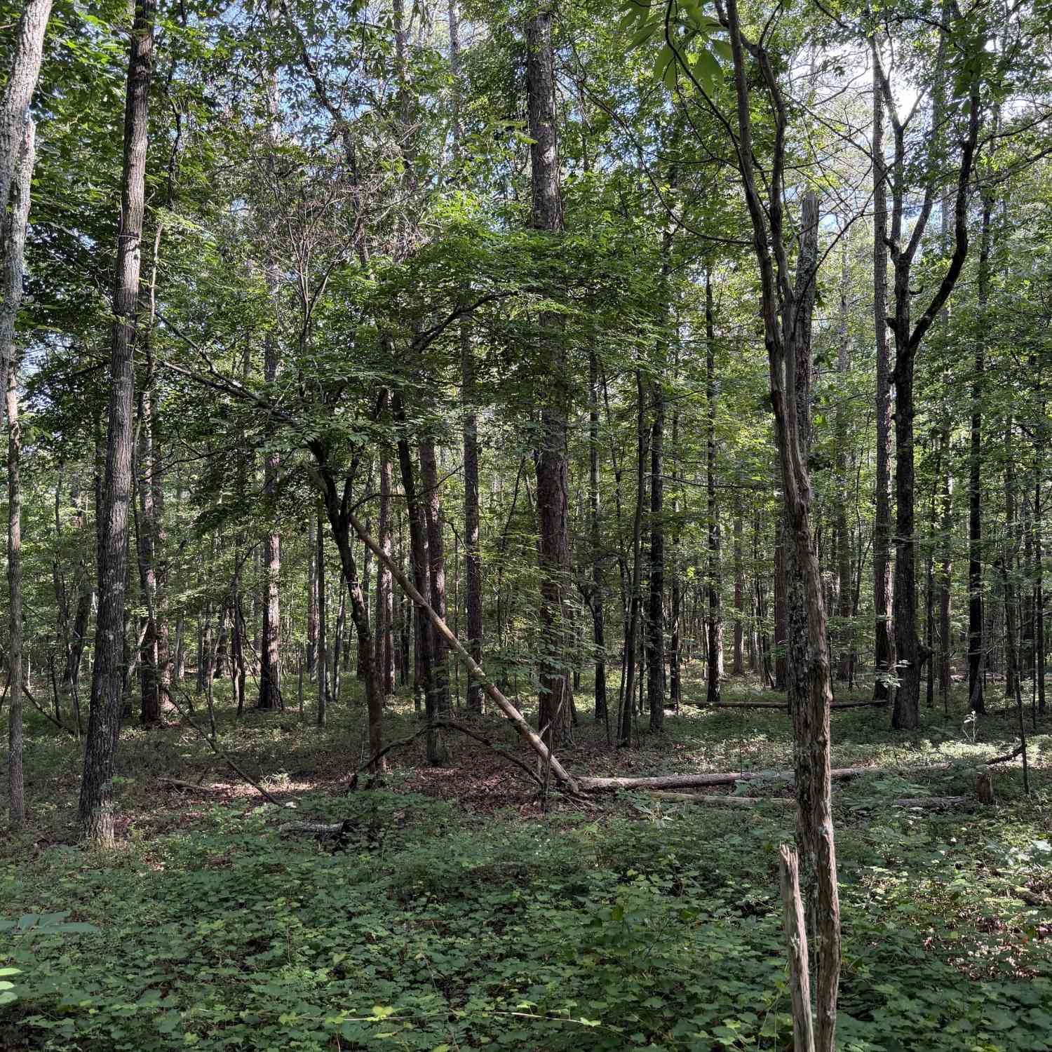Vacant Land For Sale - Clear Lake Drive<br/> Adairsville, GA 30103