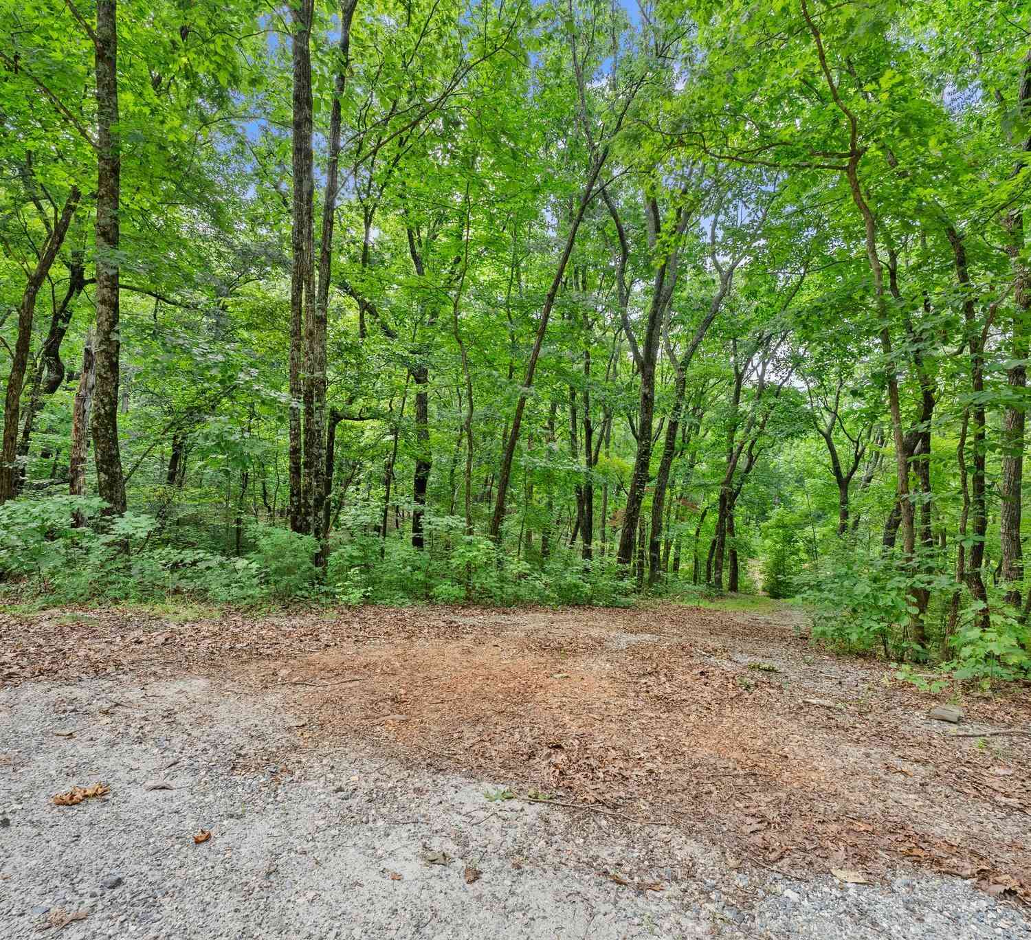 Vacant Land For Sale - Wauka Ridge Road<br/> Clermont, GA 30527