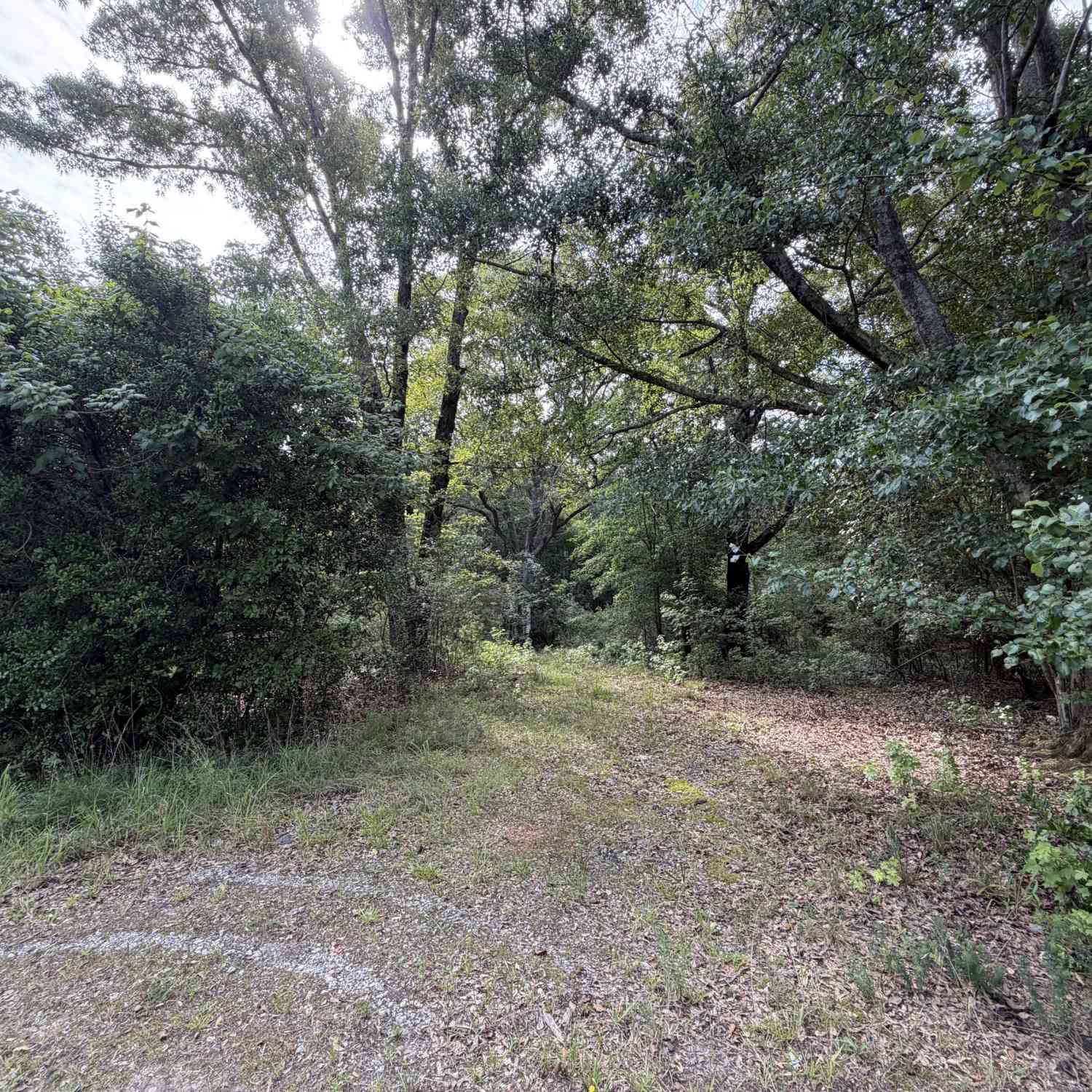 Vacant Land For Sale - 1081 Cleveland Avenue<br/> Buckhead, GA 30625