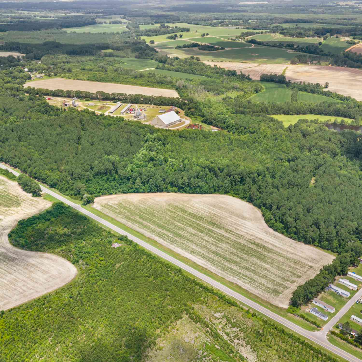 Vacant Land For Sale - Highway 46<br/> Bulloch County, Register, GA 30452