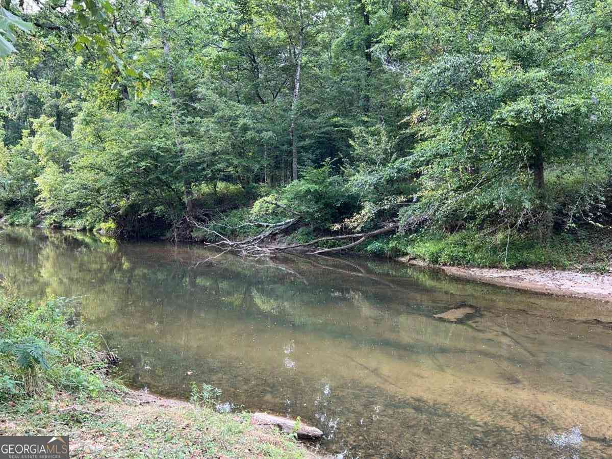 Vacant Land For Sale - Highway 136 W<br/> Talking Rock, GA 30175