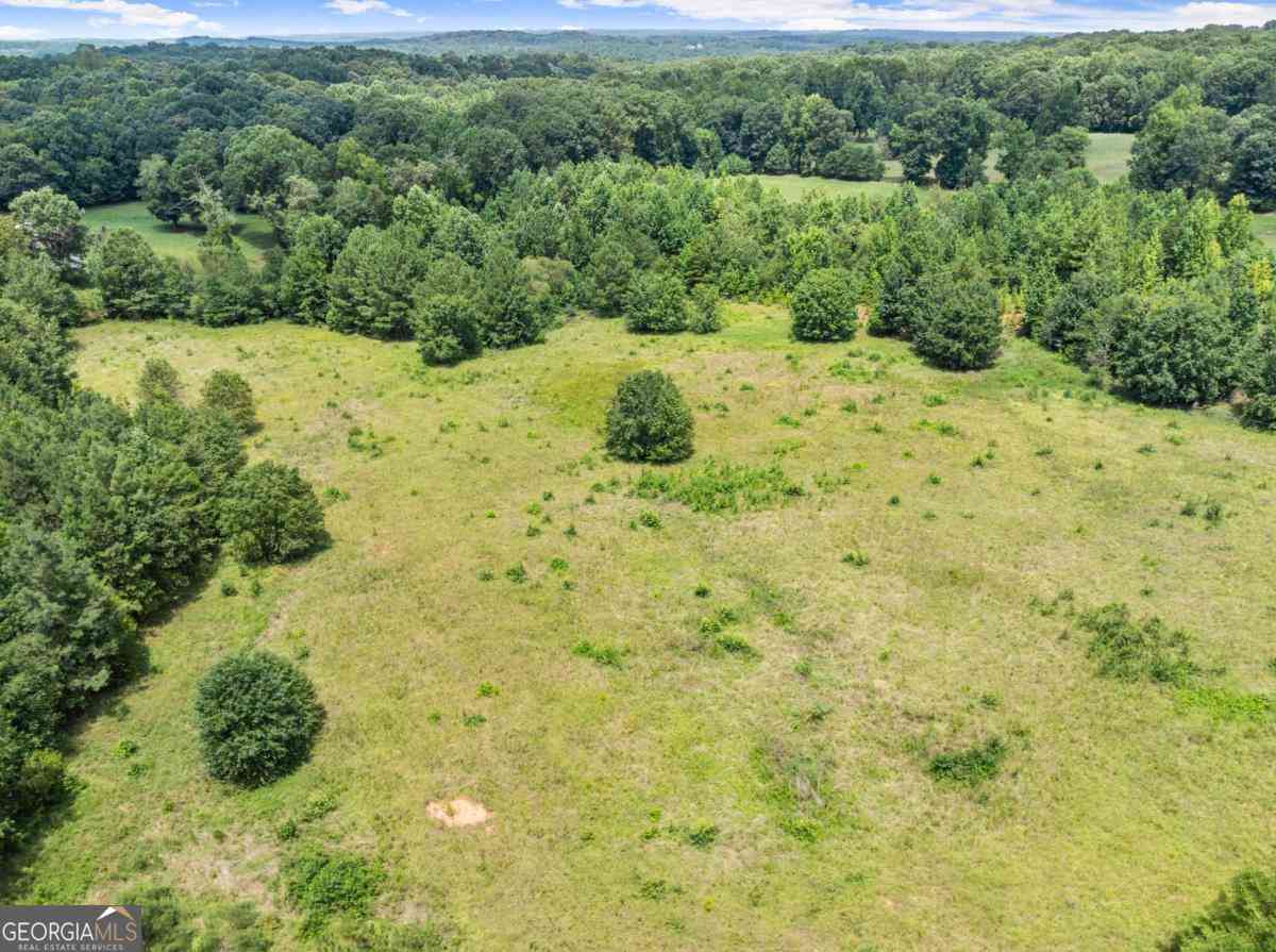 Vacant Land For Sale - Five Points Road #TRACT 4<br/> Madison County, Danielsville, GA 30633