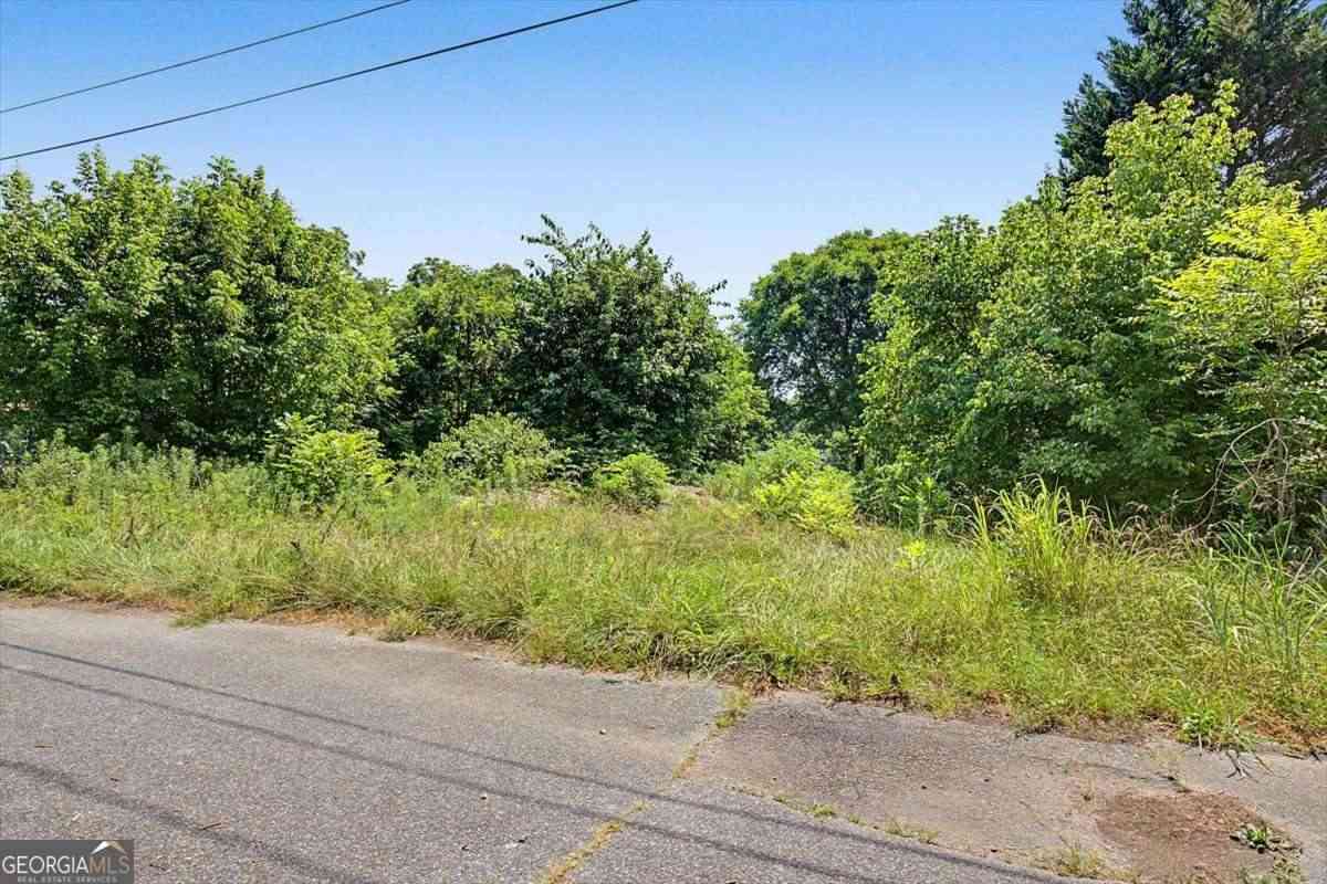 Vacant Land For Sale - 57 Martin Luther King Jr Circle<br/> Bartow County, Kingston, GA 30145