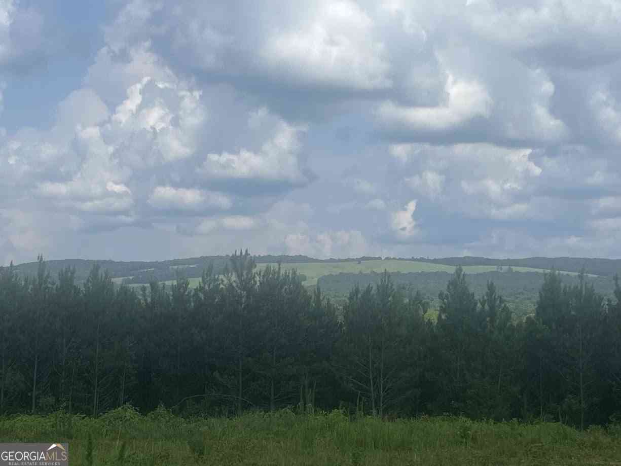 Vacant Land For Sale - 600 Reynolds Road<br/> Woodbury, GA 30293