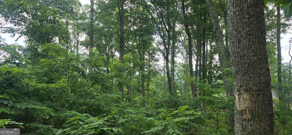 Vacant Land For Sale - 001 Windning Ridge<br/> Blairsville, GA 30514