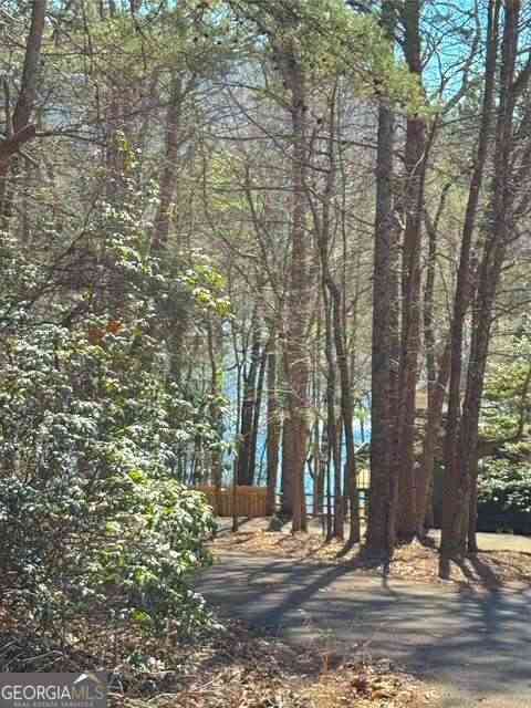 Vacant Land For Sale - 00 Horse Cove Court<br/> Pickens County, Jasper, GA 30143