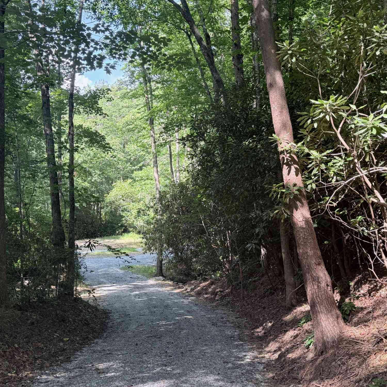 Vacant Land For Sale - Hwy 76 W<br/> Clayton, GA 30525