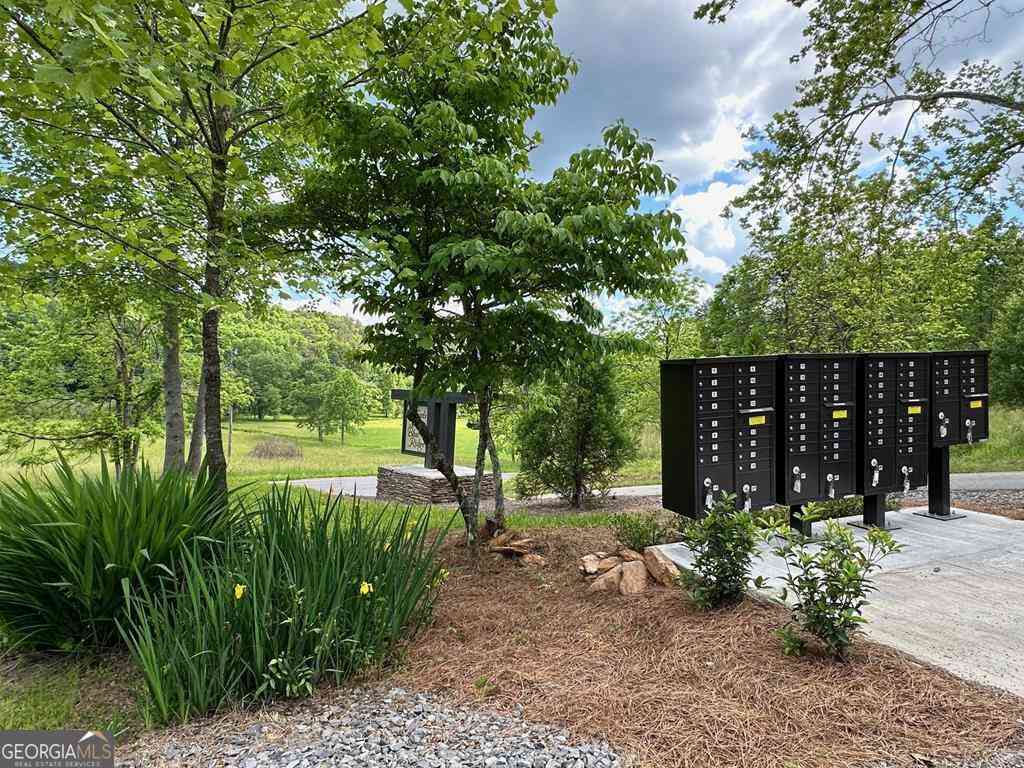 Vacant Land For Sale - LT 12 Mountain Laurel Ridge<br/> Mineral Bluff, GA 30559