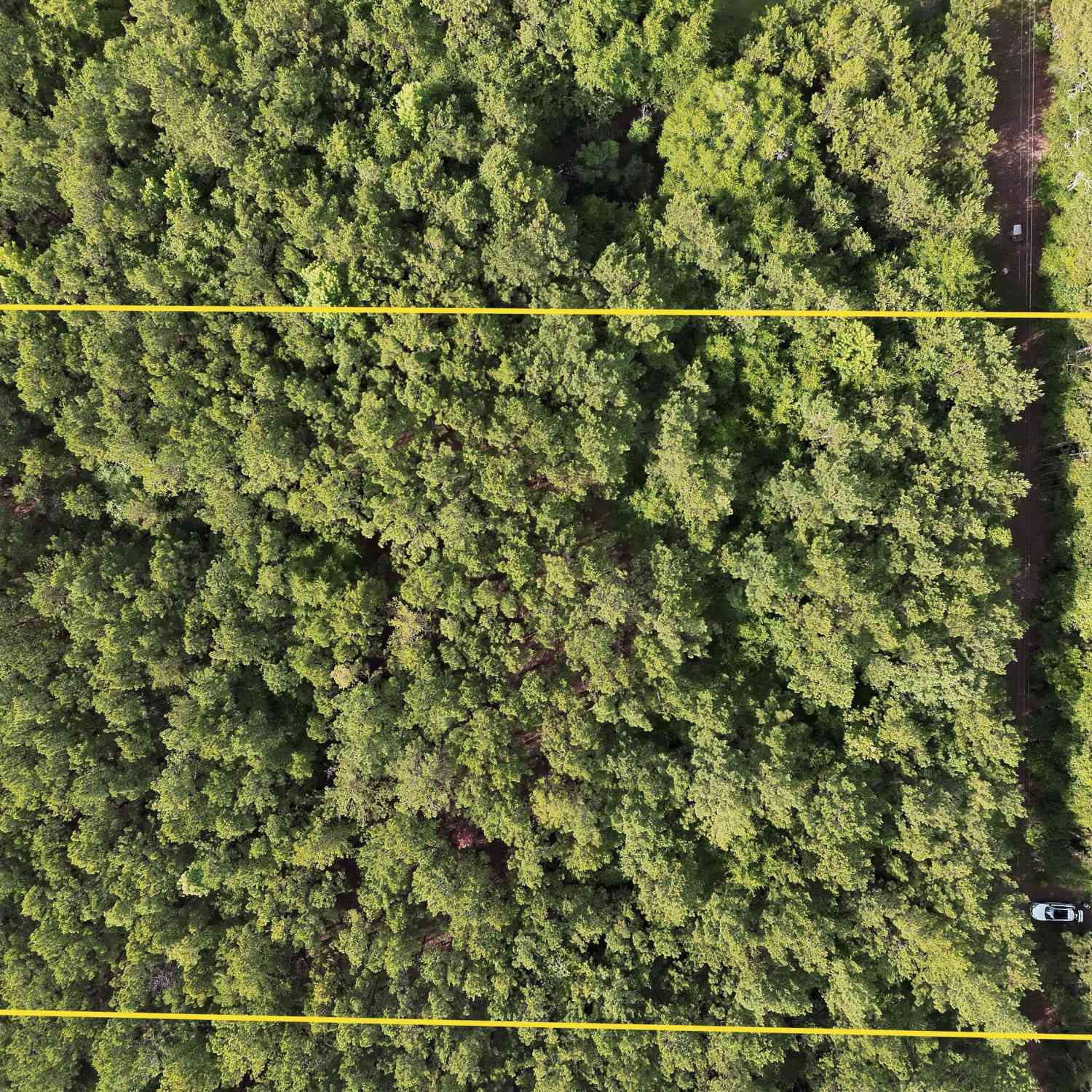 Vacant Land For Sale - Grays Chapel Road<br/> Yatesville, GA 31097