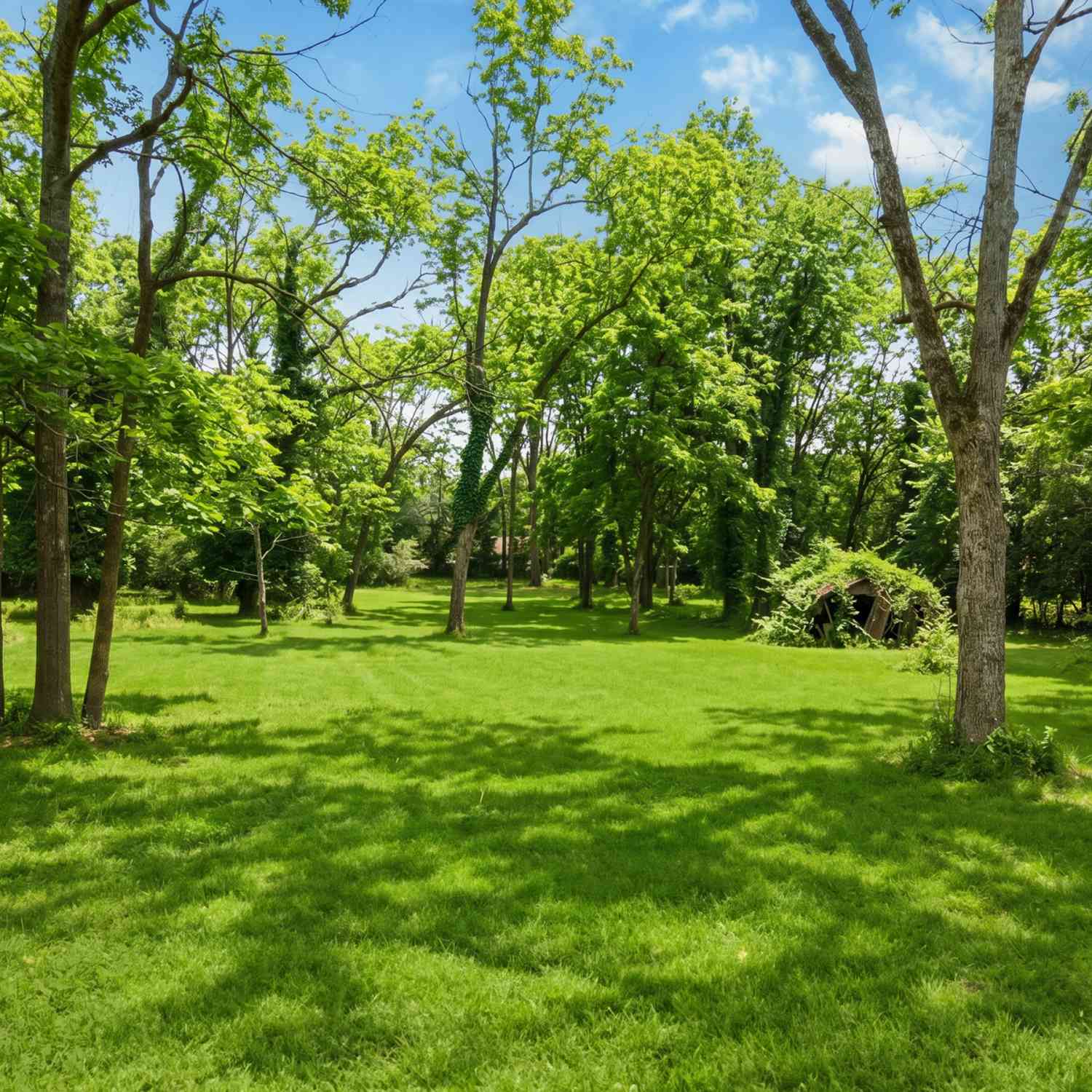 Vacant Land For Sale - 356 N Main Street<br/> Morgan County, Madison, GA 30650