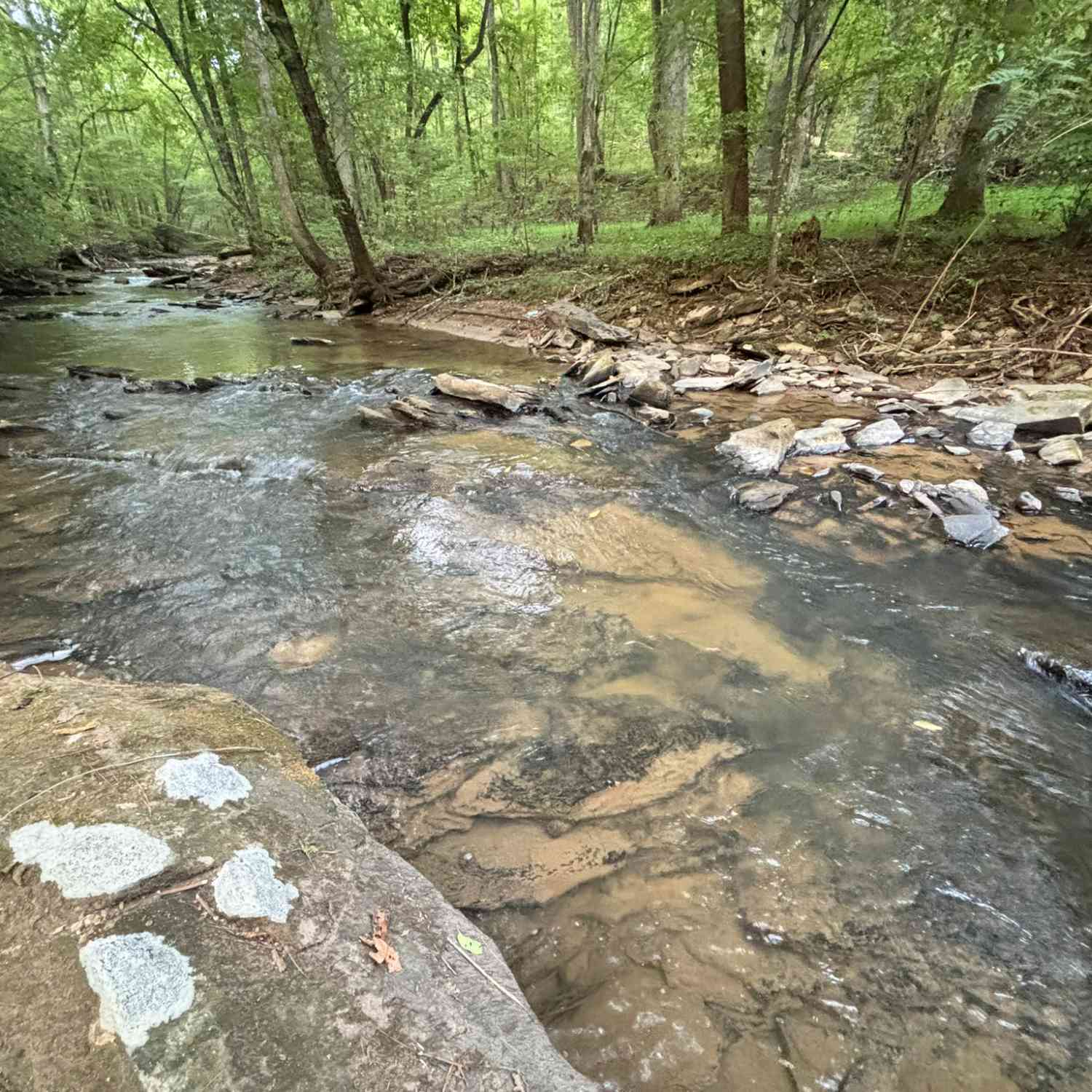 Vacant Land For Sale - 396 Mt Springer Road<br/> Ellijay, GA 30540