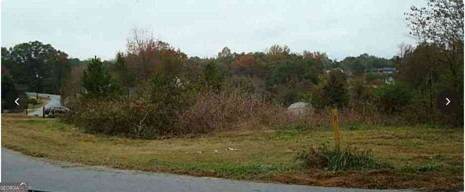Vacant Land For Sale - Dixie Red Avenue<br/> Jefferson, GA 30549