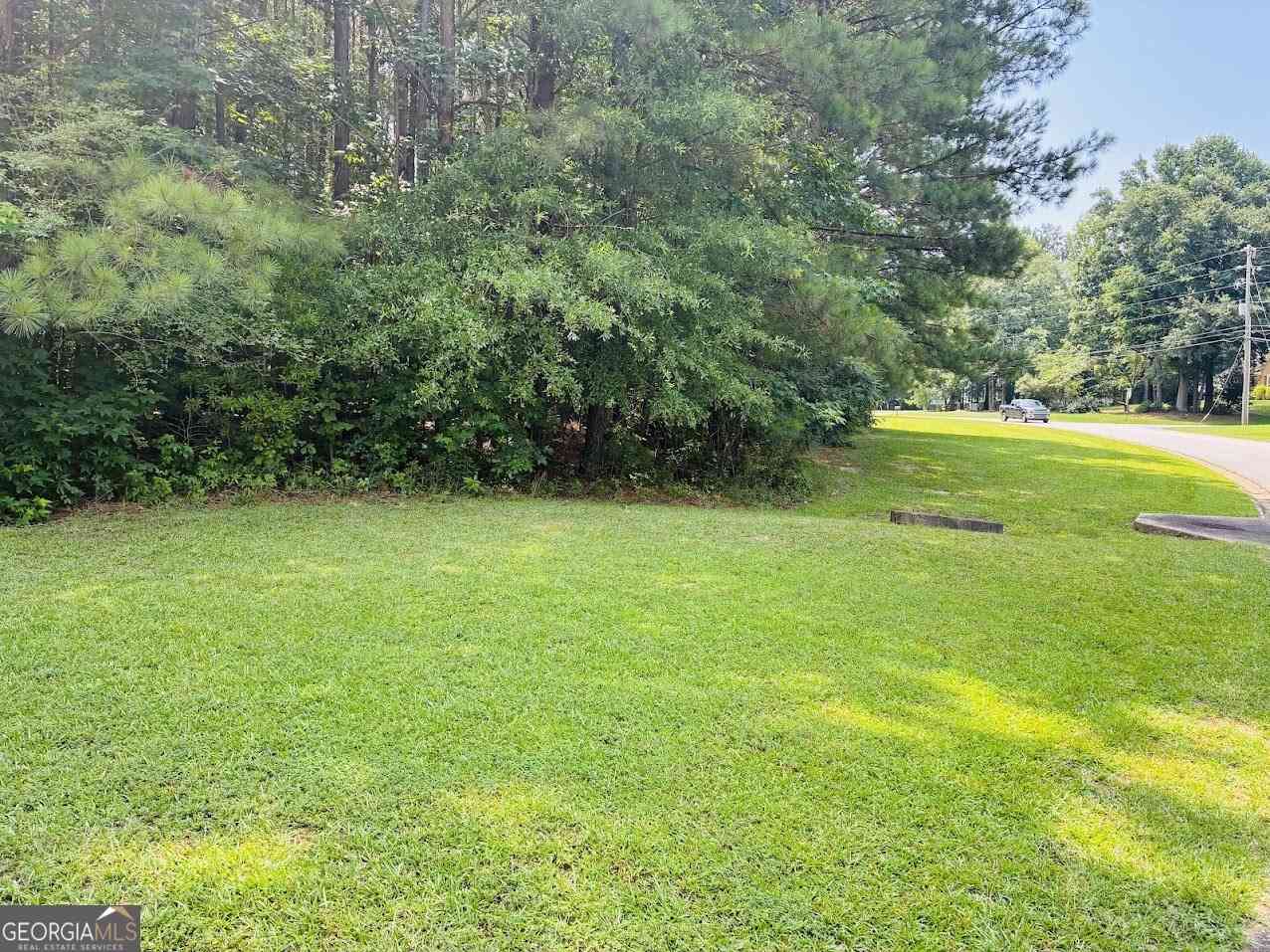 Vacant Land For Sale - Mapledale Trail #LOT 51/52<br/> Sharpsburg, GA 30277