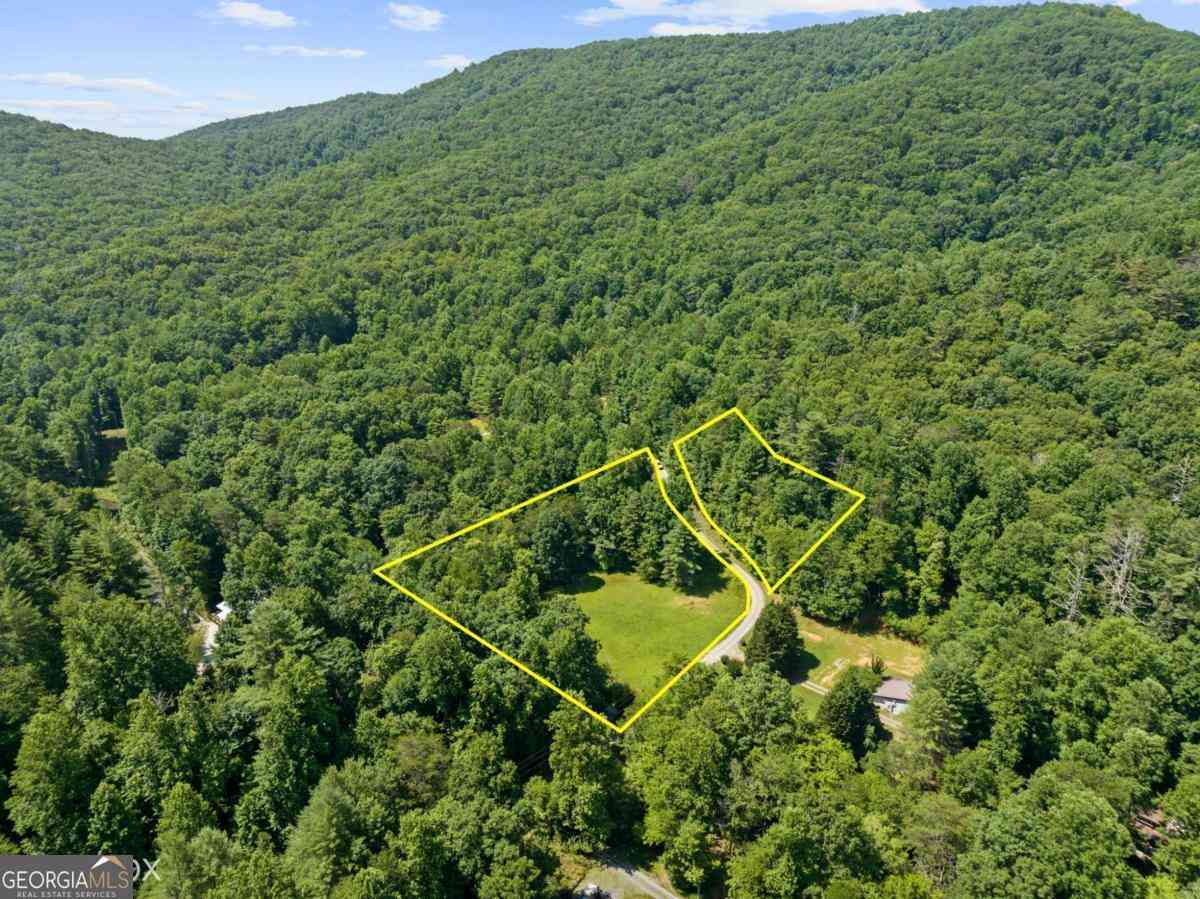 Vacant Land For Sale - LOT 8 Tipton Court<br/> Fannin County, Cherry Log, GA 30522