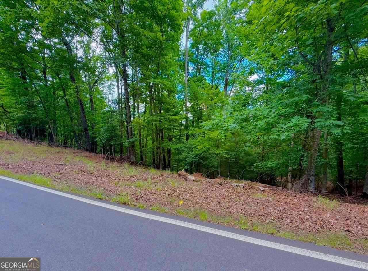 Vacant Land For Sale - 2246 Palisade Drive<br/> Ellijay, GA 30540