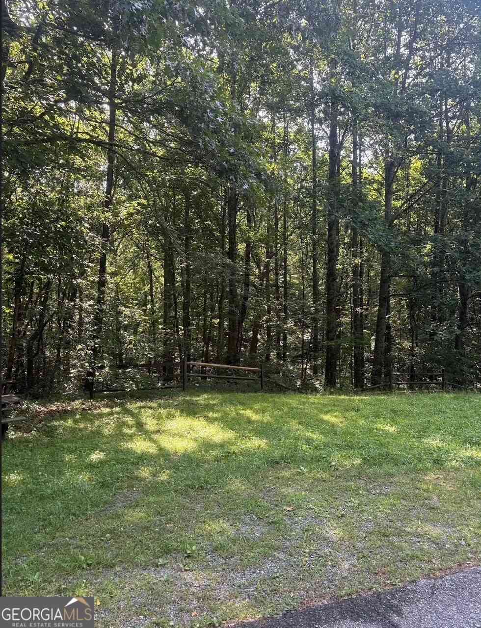 Vacant Land For Sale - 00 Laurel Branch Drive<br/> Jasper, GA 30143
