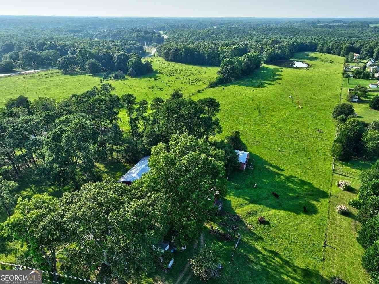 Vacant Land For Sale - Peeksville Road<br/> Locust Grove, GA 30248
