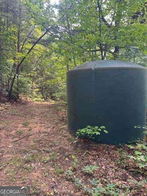 Vacant Land For Sale - 10.96 AC Paramount Trail<br/> Ellijay, GA 30536