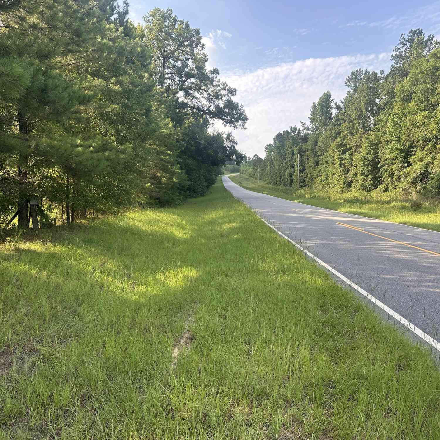 Vacant Land For Sale - 900 Habersham Church Road<br/> sardis, GA 30456