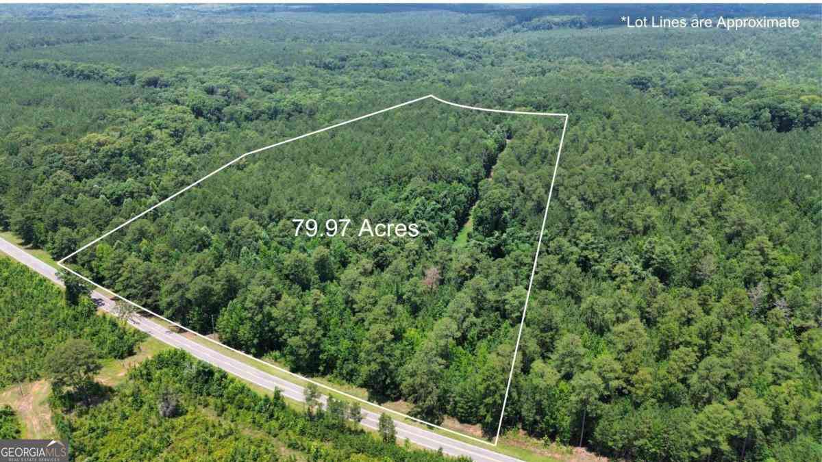 Vacant Land For Sale - 000 Springfield / Turner Road<br/> Union Point, GA 30669