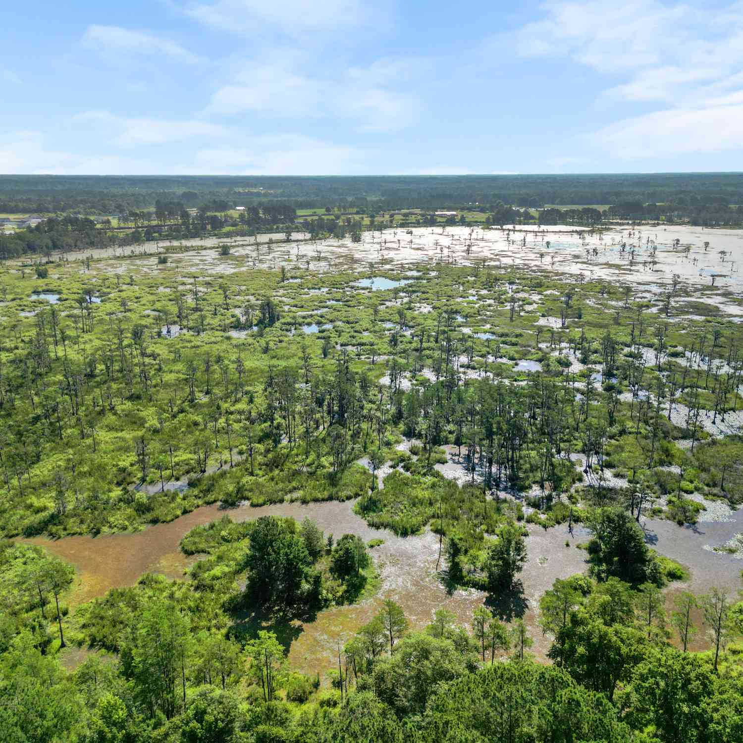 Vacant Land For Sale - LOT 1 Kennedy Pond Road<br/> Statesboro, GA 30458