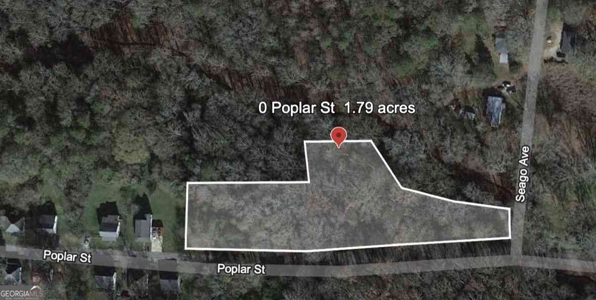 Vacant Land For Sale - Poplar Street<br/> Griffin, GA 30223