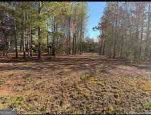 Vacant Land For Sale - 297 Amanda Drive<br/> Macon, GA 31216