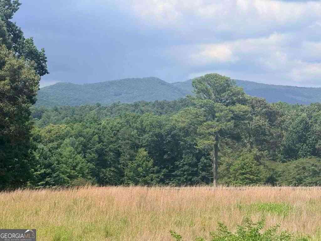 Vacant Land For Sale - LT 6 Spring Camp Road<br/> Ellijay, GA 30536